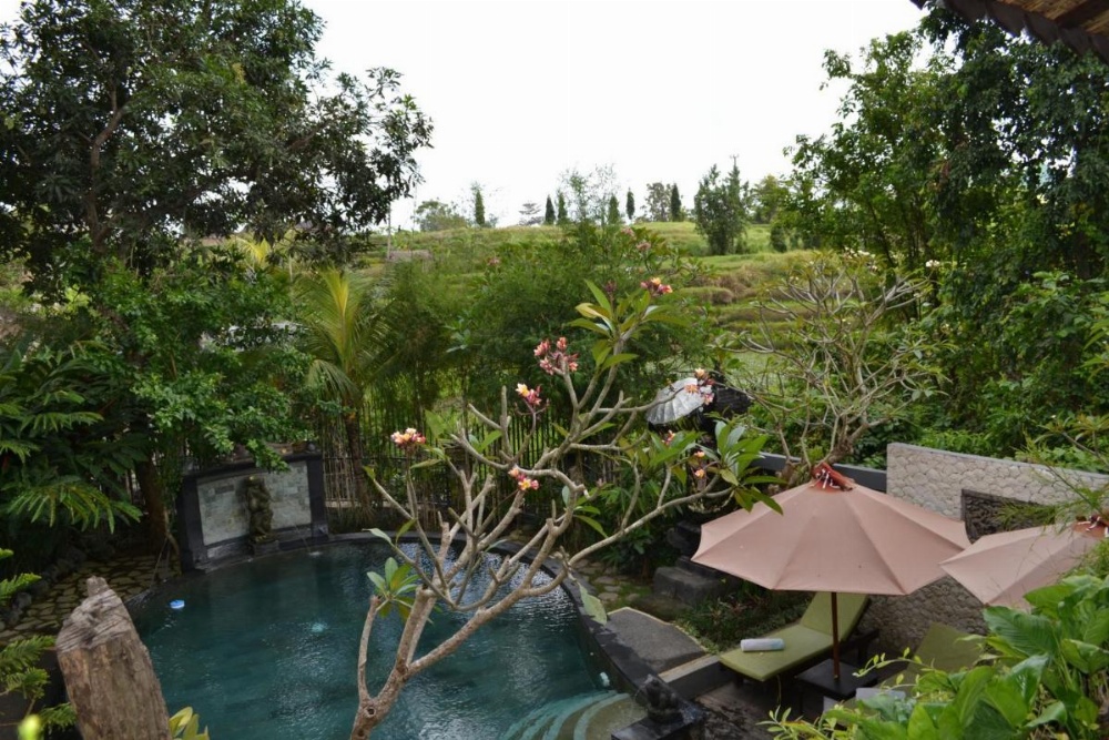 KTS Balinese Villas Image 27
