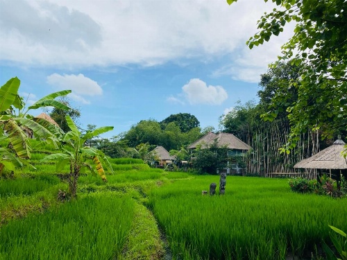 KTS Balinese Villas image 45